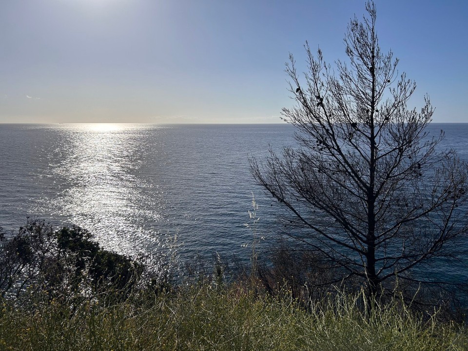 Frankreich - Calvi - 