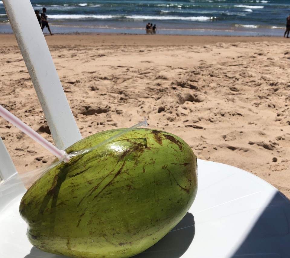 Brasilien - Lauro de Freitas - Eine frische cocos Drinknuss aus der Kühlung