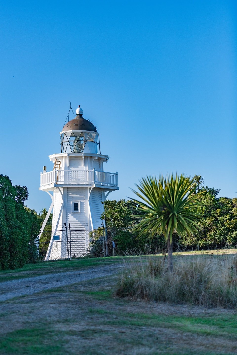 Neuseeland - Moeraki - 