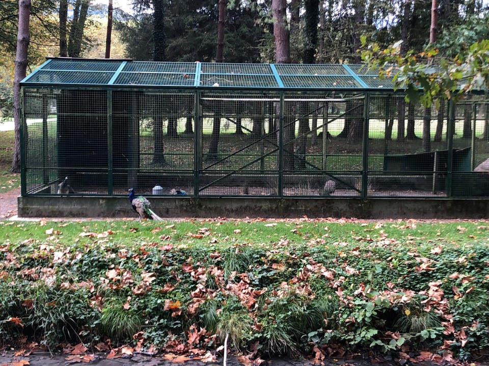 Frankreich - Vizille - 