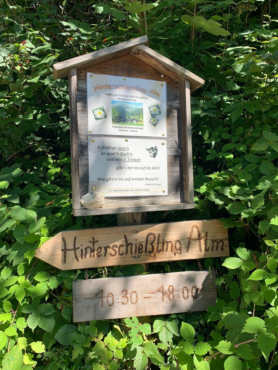 Österreich - Scheffau am Wilden Kaiser - 