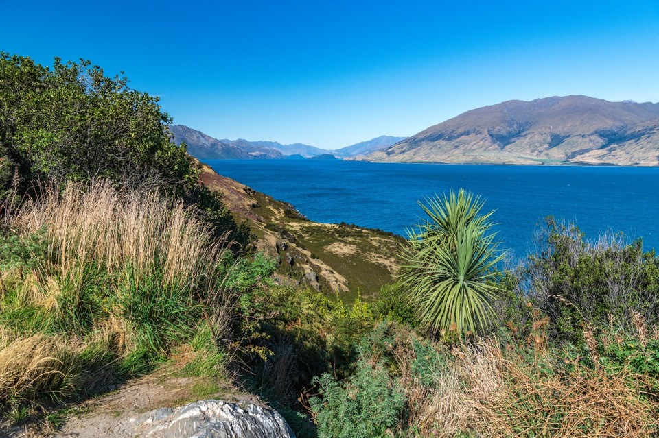 Neuseeland - Haast - 