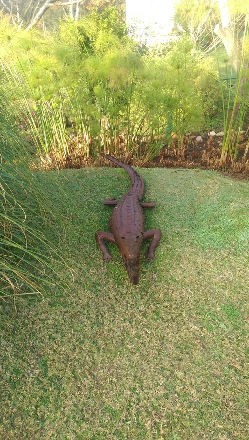 Südafrika - Swellendam - Das war übrigens das einzige Krokodile was ich so nahe gesehen habe.
