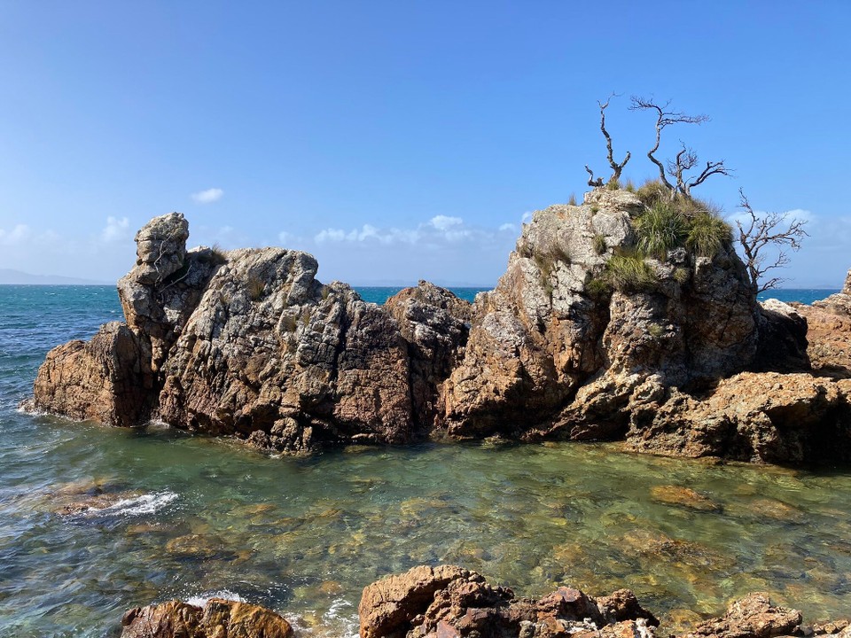 Neuseeland -  - 