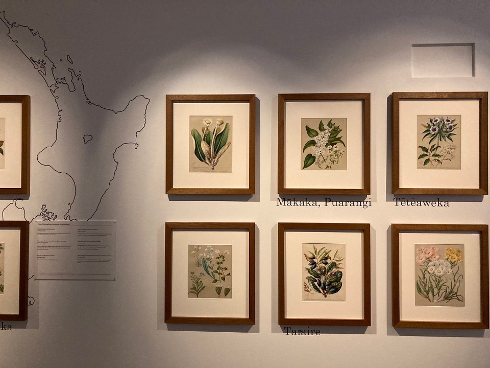 Neuseeland - Gisborne - Die neuseeländische Flora ist ziemlich hübsch 