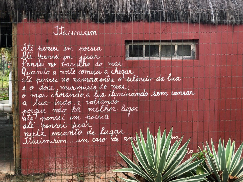 Brasilien - Mata de São João - Pusan’s Jambo itasimirum