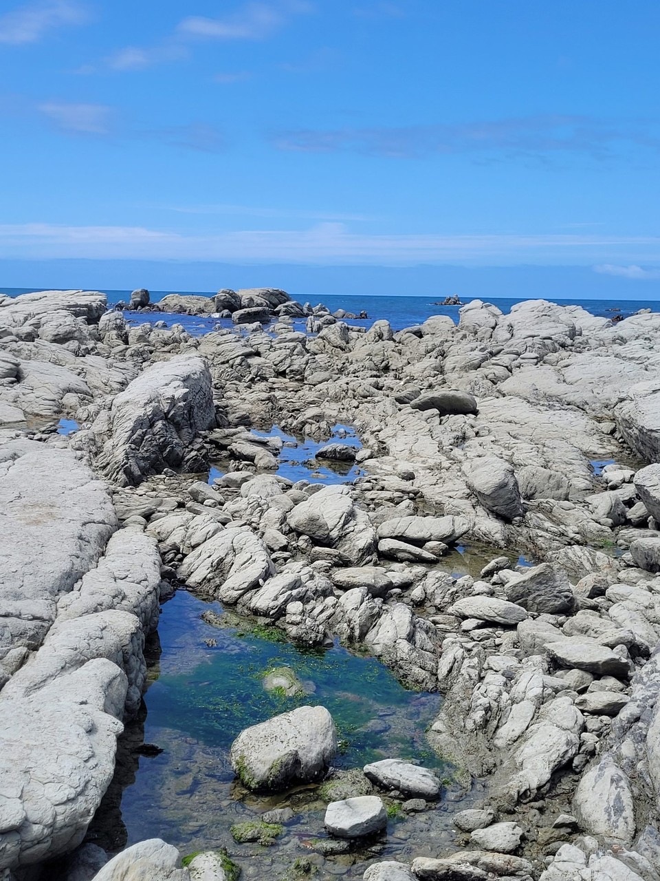 Neuseeland - Kaikoura - 