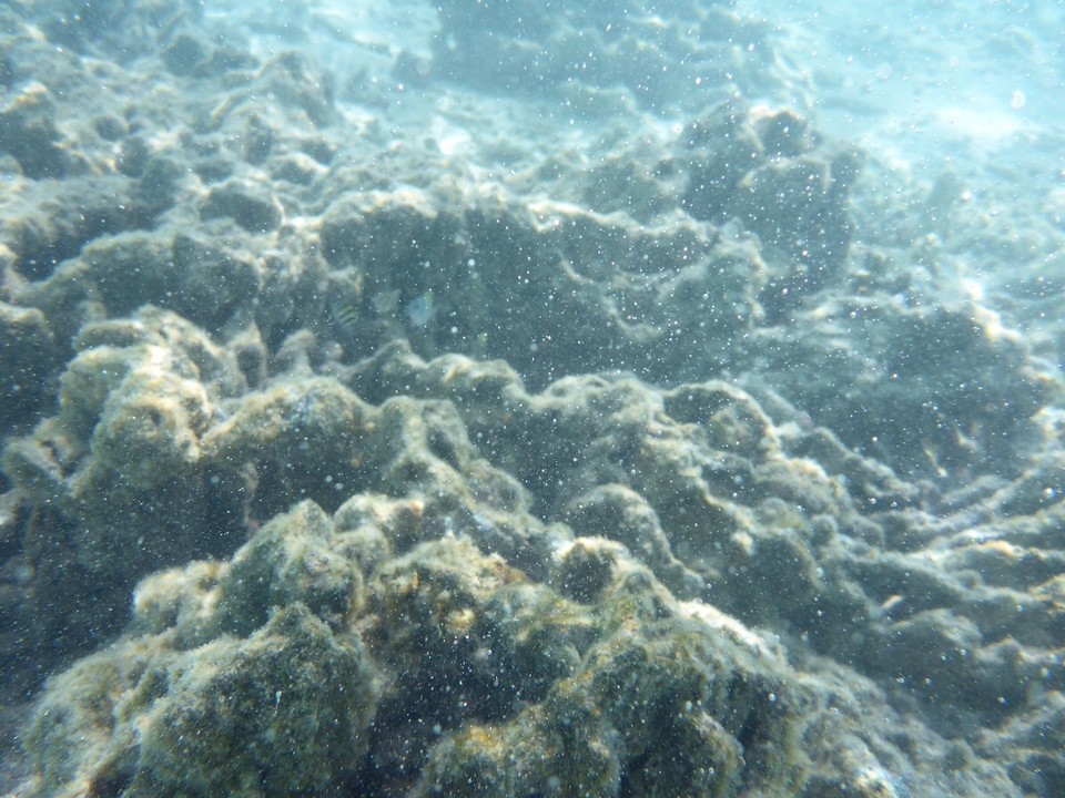  -  - Unterwasserwelt bei diesen neuen Atoll katastrophal