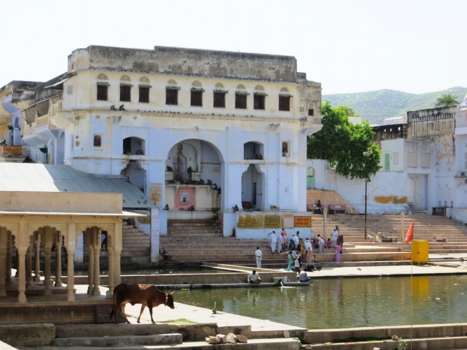 India - Pushkar - 
