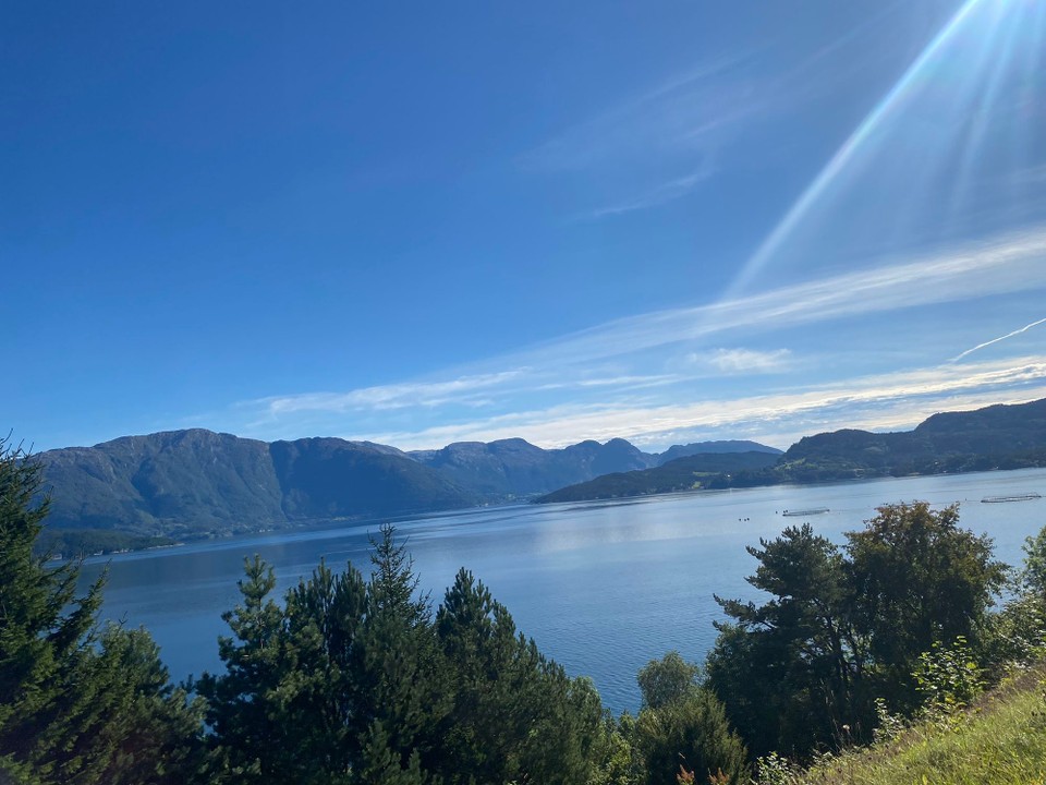 Norwegen - Odda - 