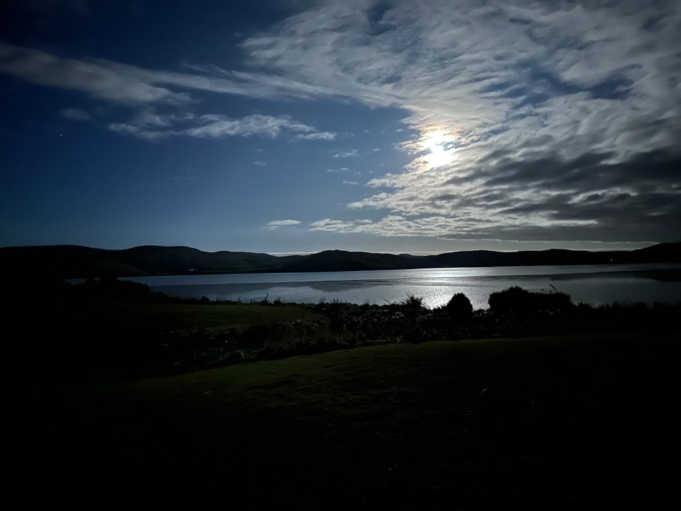 Neuseeland - Dunedin - 