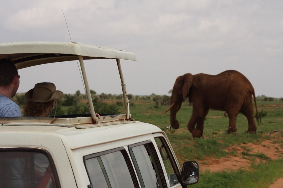 Kenia - Kajiado - 
