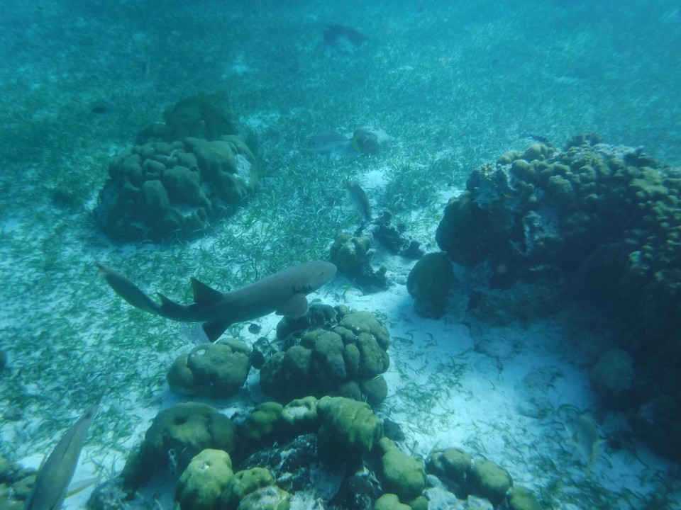 Belize -  - 