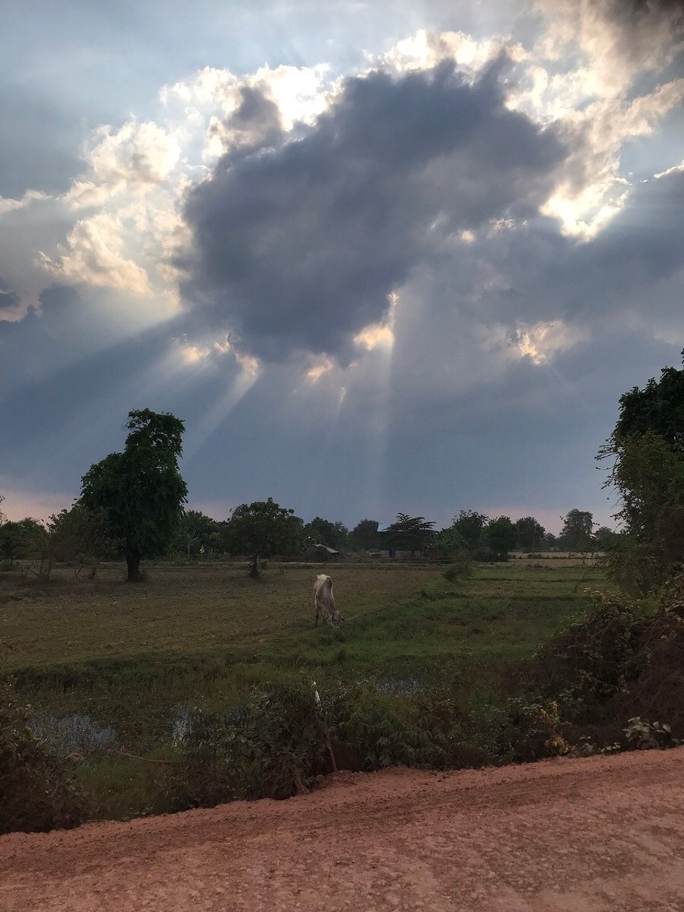 Cambodia - Battambang - 
