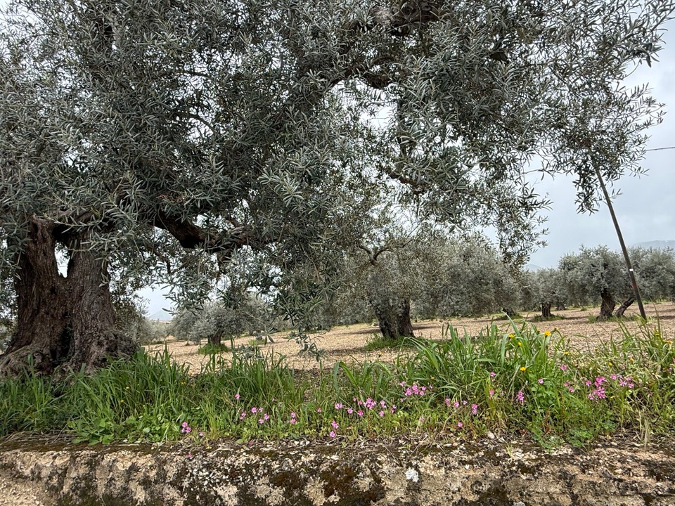 Italien - Agrigent - 