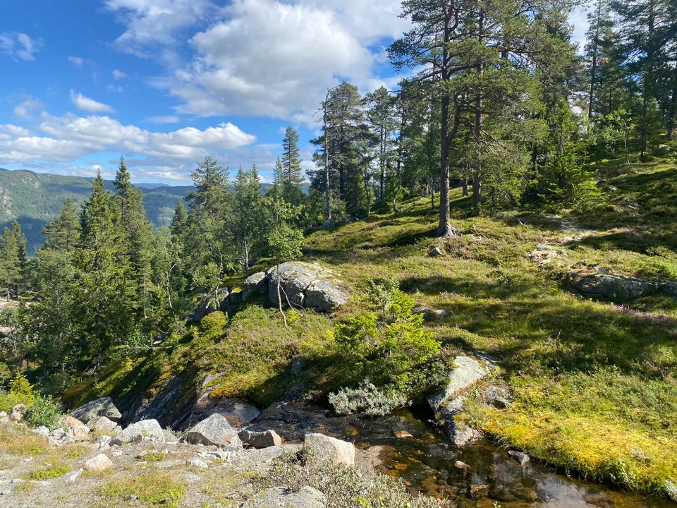 Norwegen - Gransherad - 
