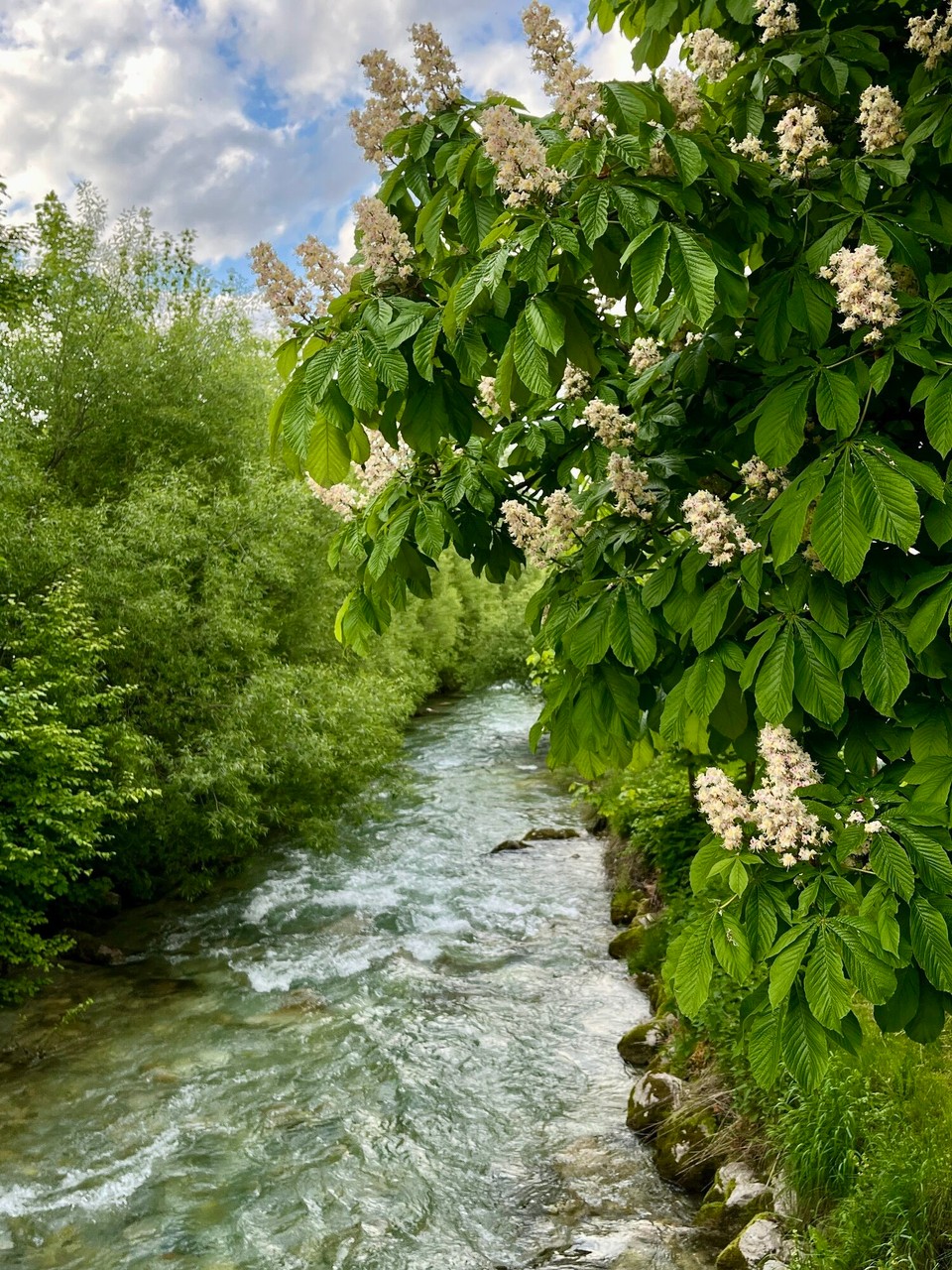 Österreich - Flachau - 