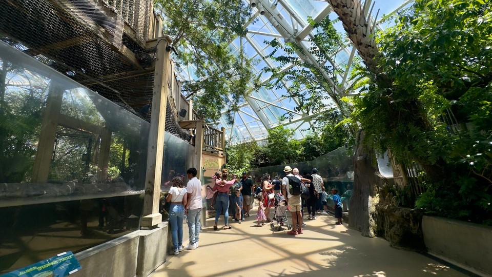 Vereinigte Staaten - Tampa - 