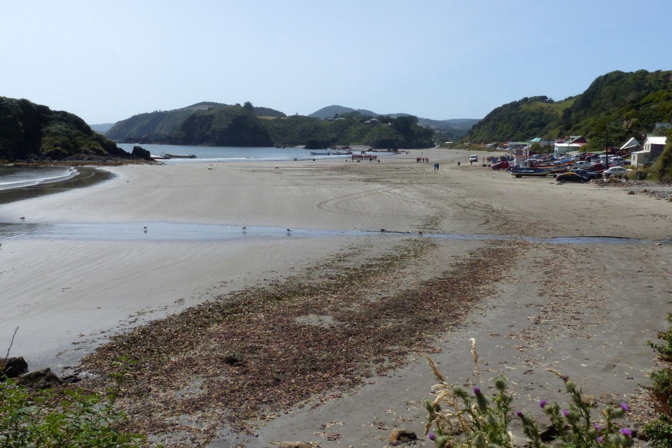 Chile - Chiloé - Strand von Punihuil