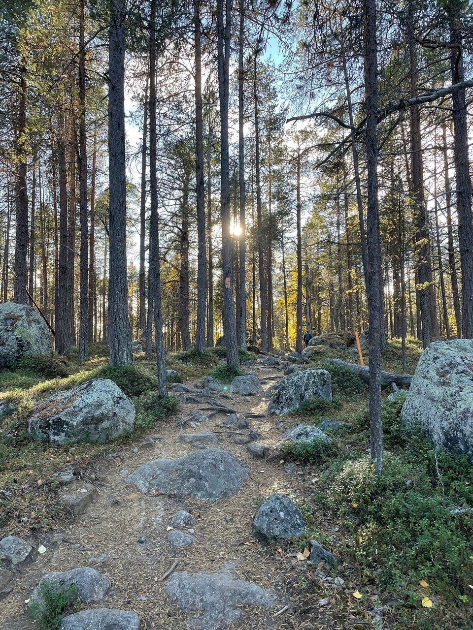 Finnland - Inari - 