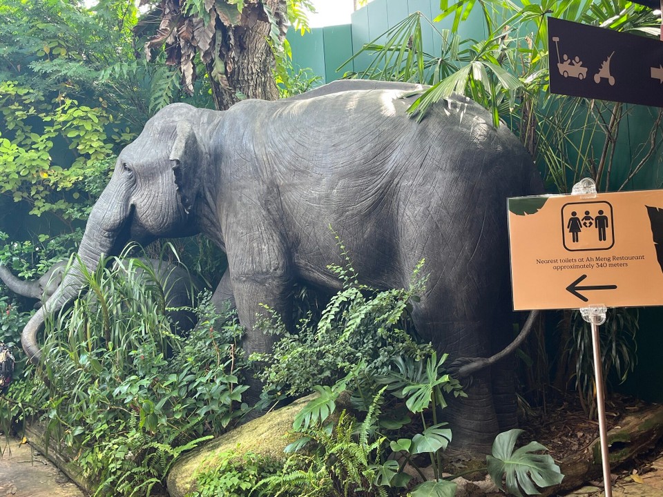 Singapur - Singapur - 