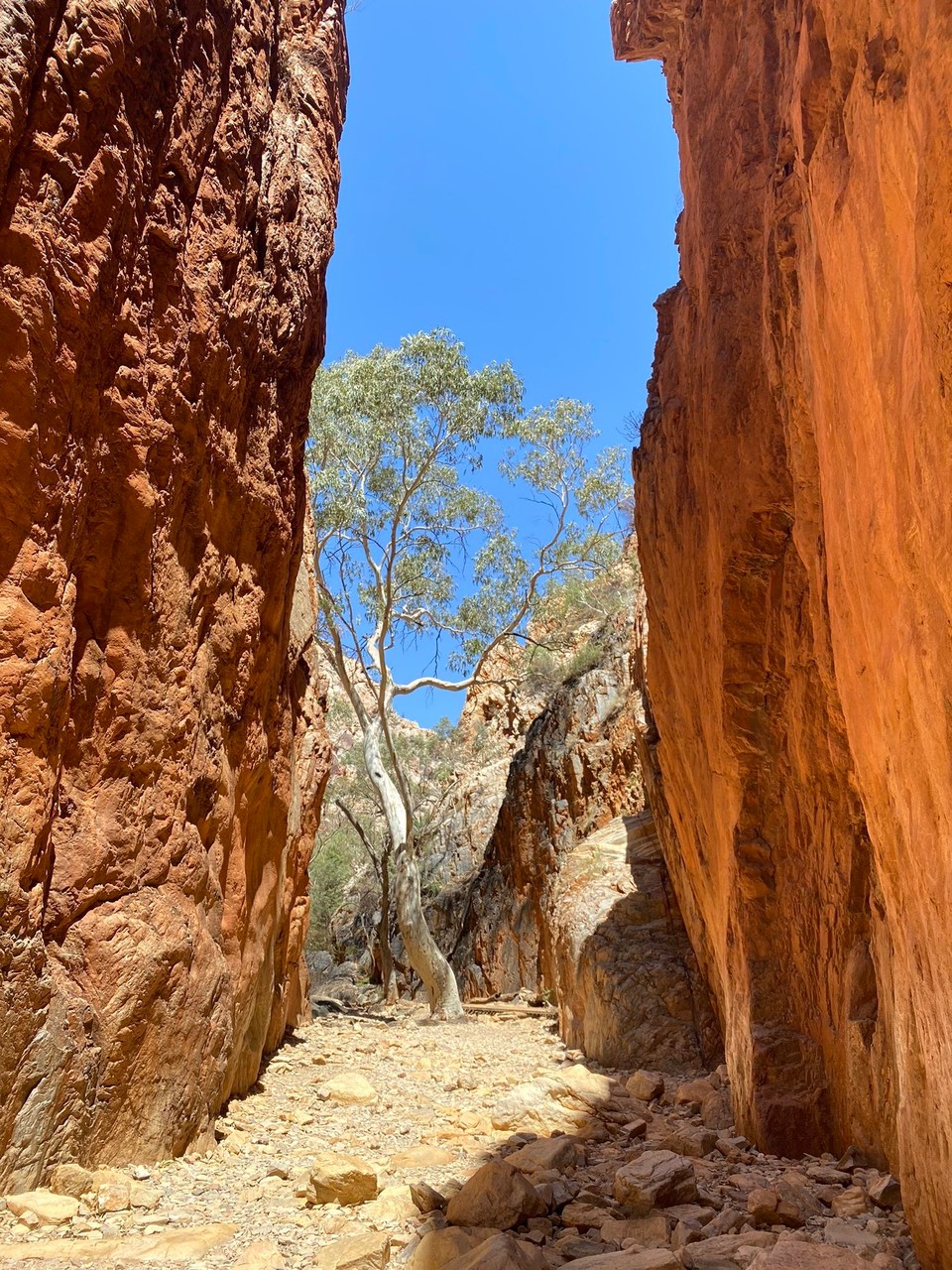 Australien - Alice Springs - 