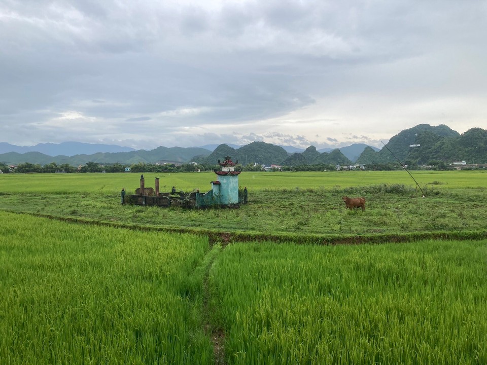Vietnam - Bo Trach - 