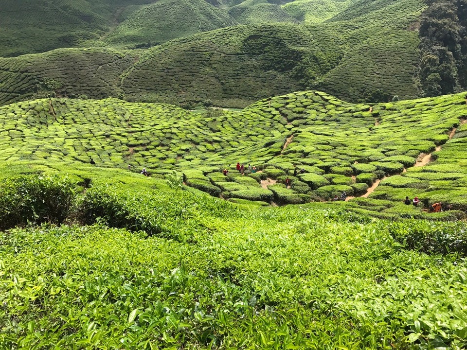 Malaysia - Bentong - 