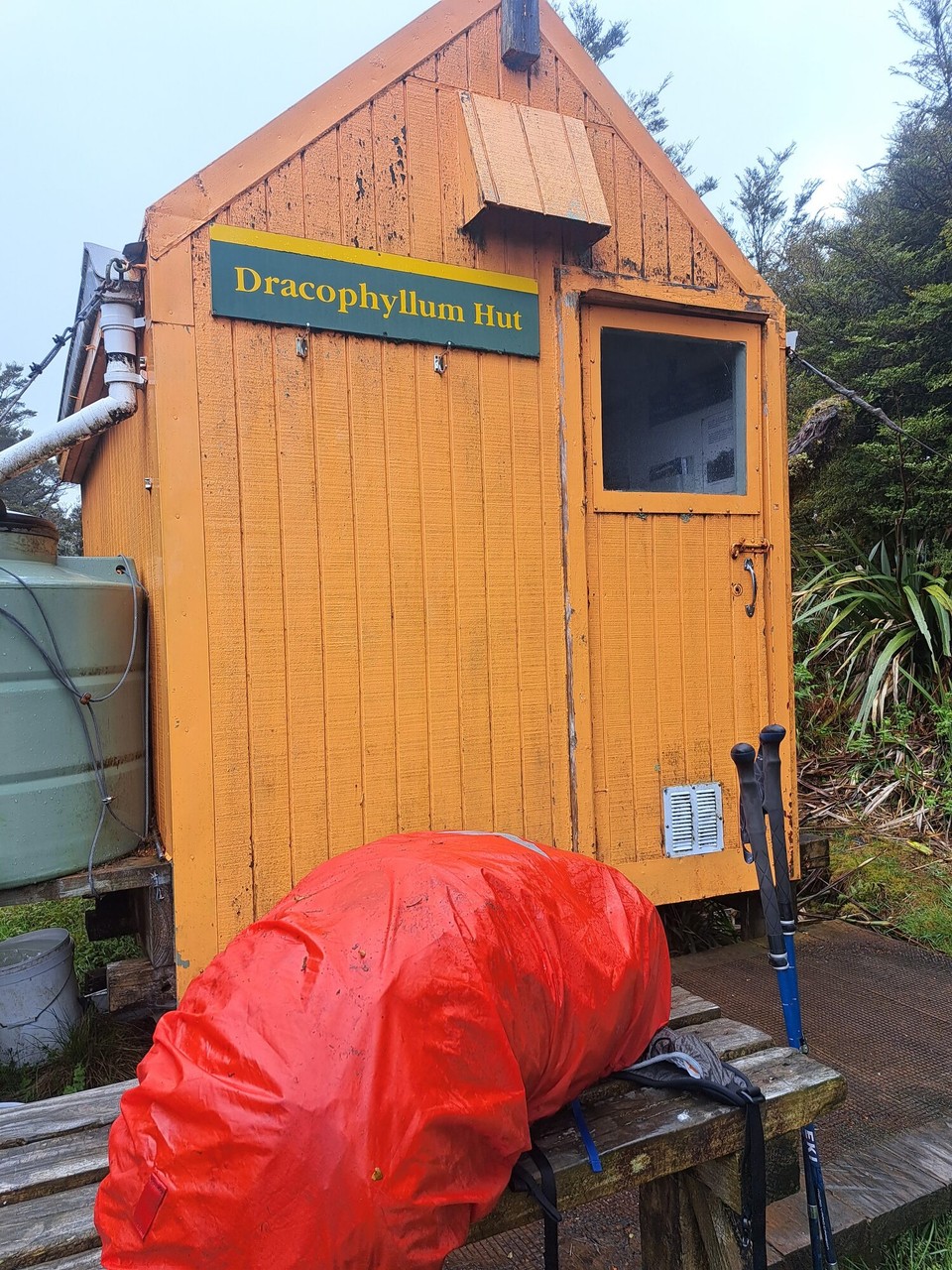 Neuseeland - Te Aroha trail PK - 