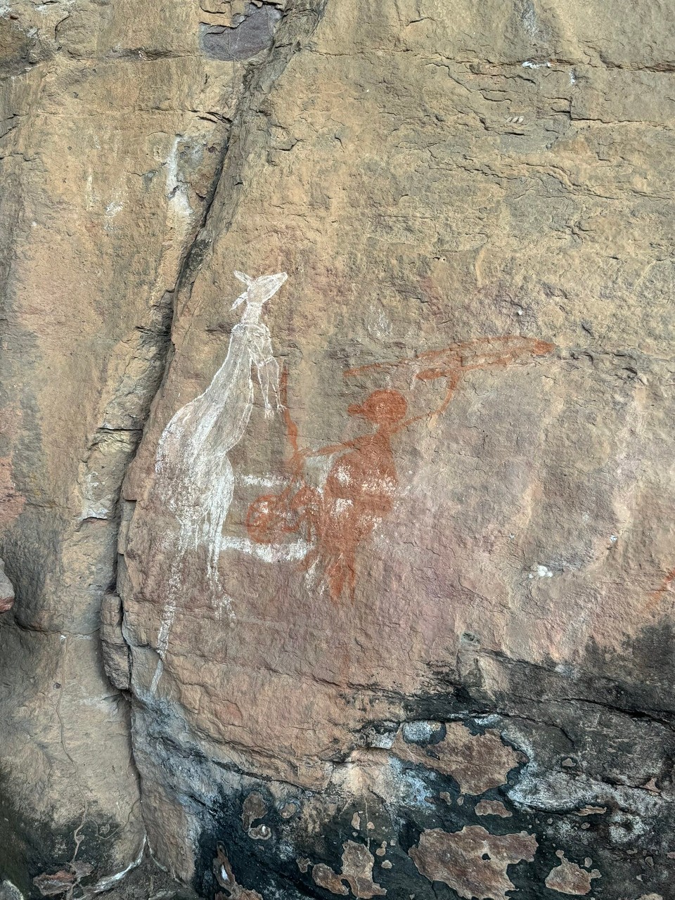 Australien - Kakadu - 