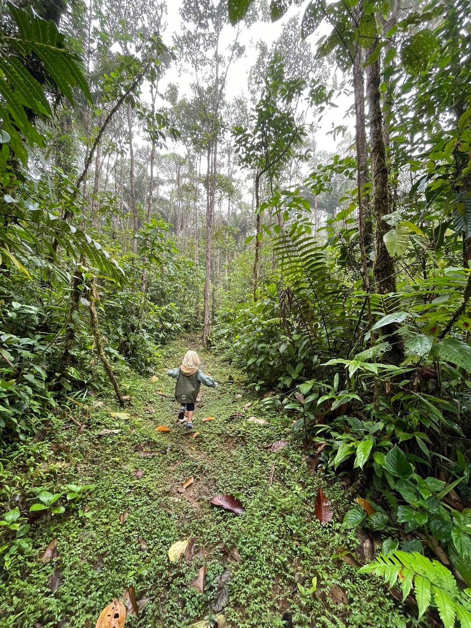 Panama - Santa Fé - 