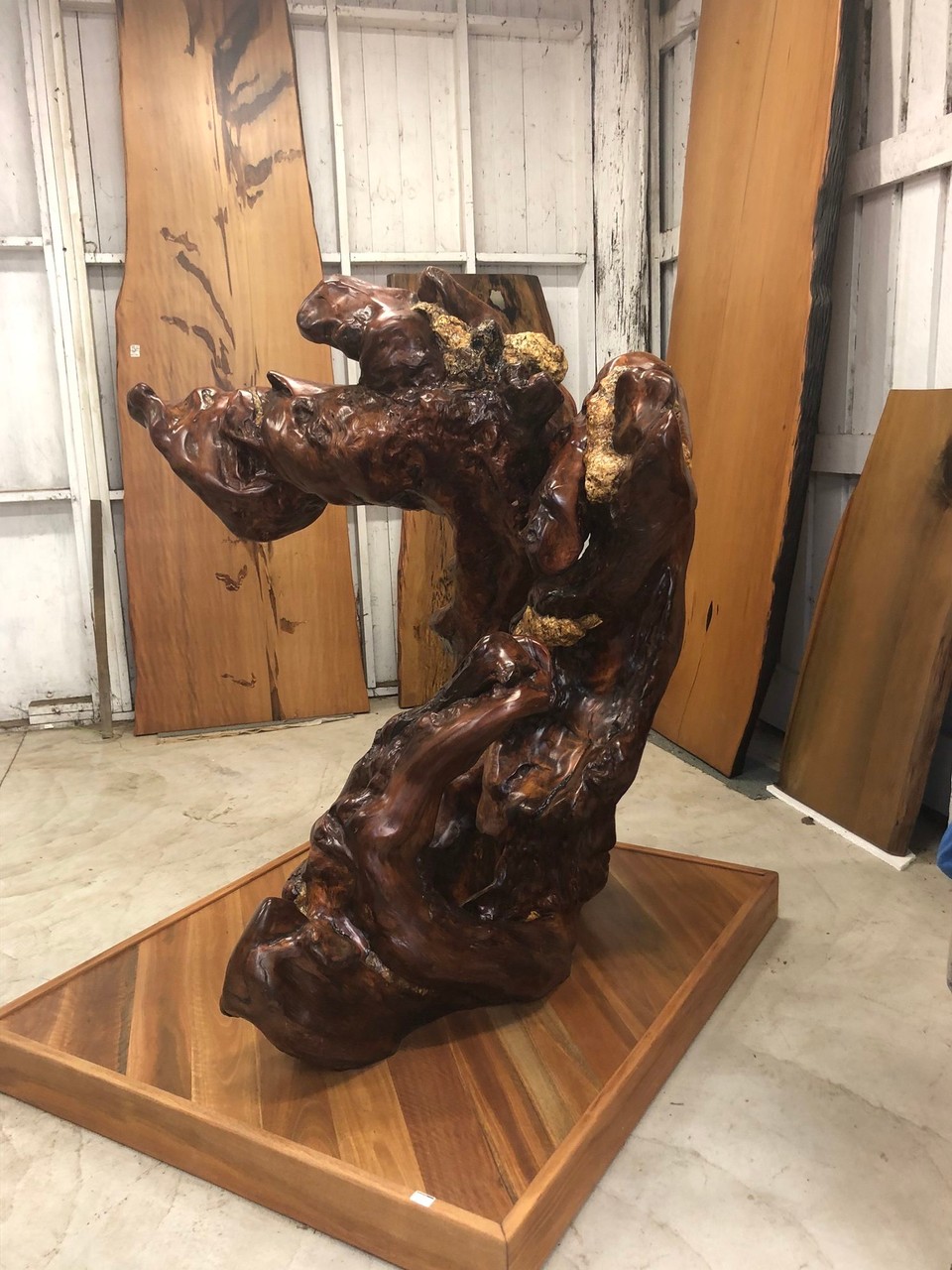 Neuseeland - Kaihu - Nelson‘s Kaihu Kauri Ausstellung und Shop