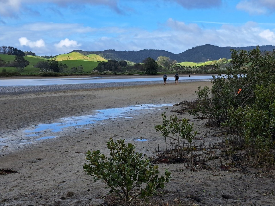Neuseeland - Whangārei Heads - 
