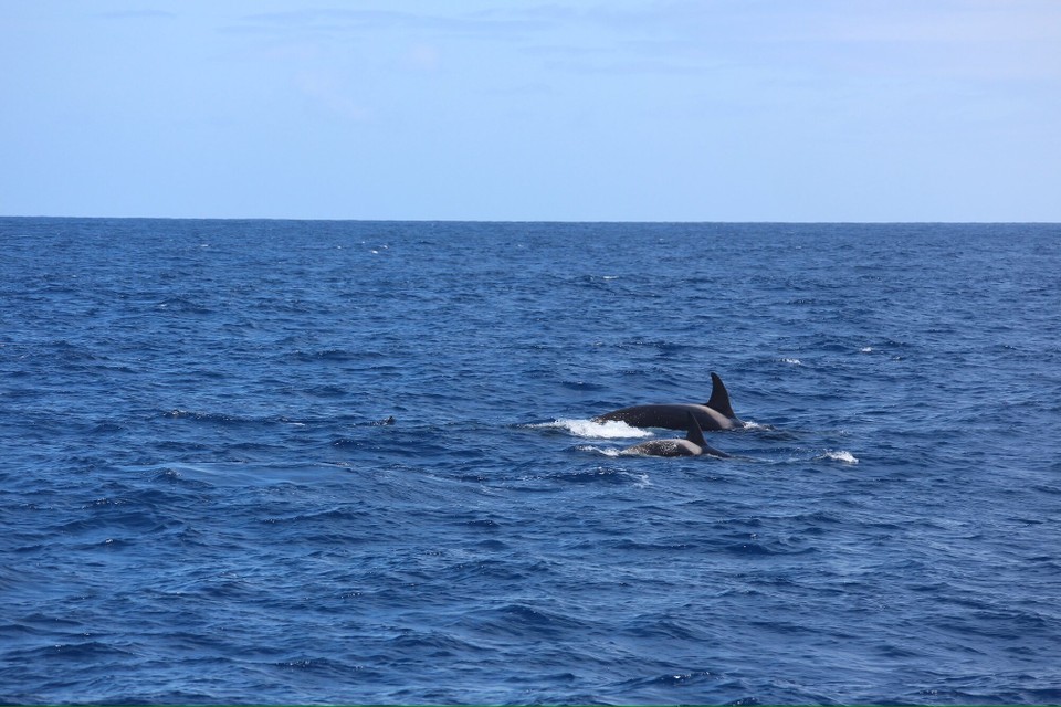 Australien - Bremer Bay - Es wurden aber natürlich auch eigene Fotos gemacht.