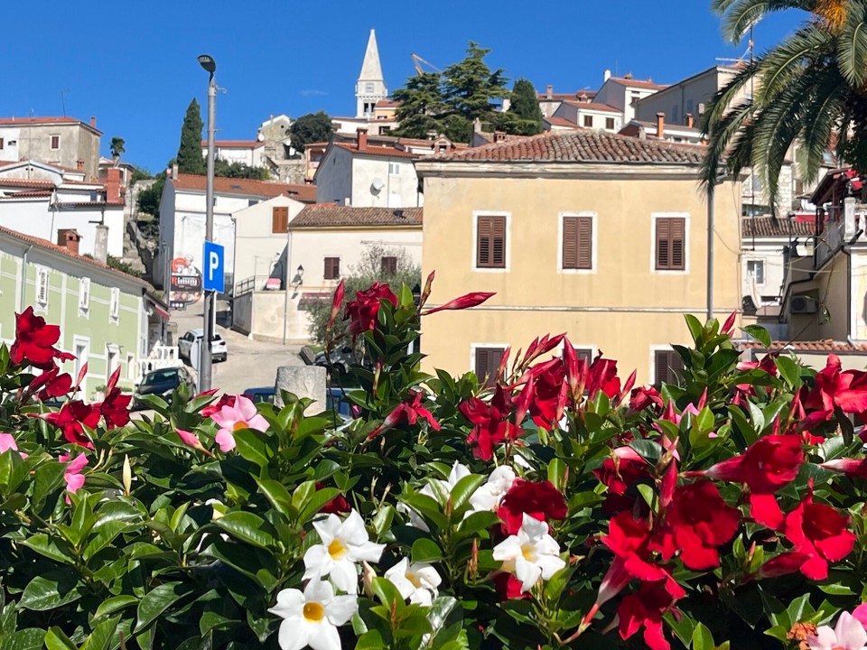 Kroatien - Vrsar - Blick auf die Altstadt