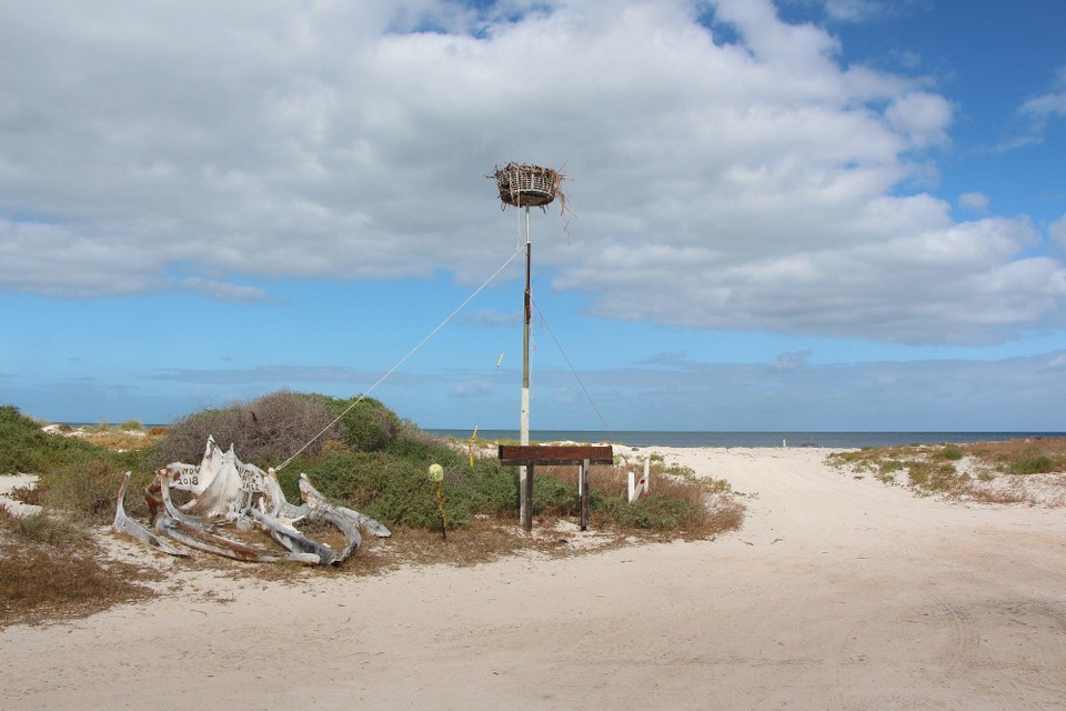 Australien - Lancelin - 