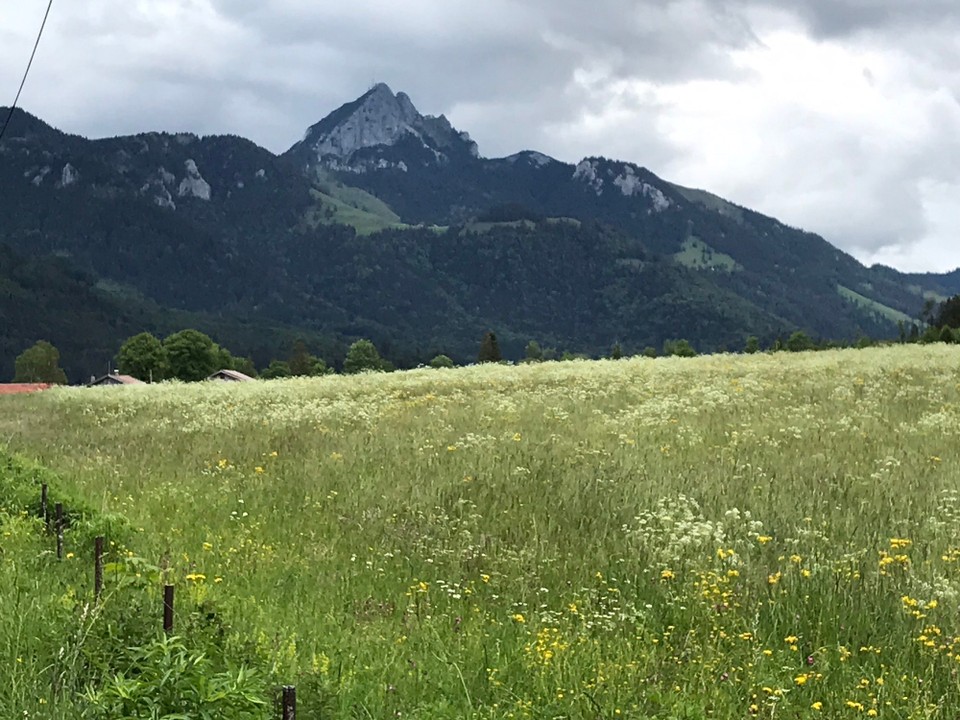 Deutschland - Neubeuern - Einmal am Wendelstein vorbei 