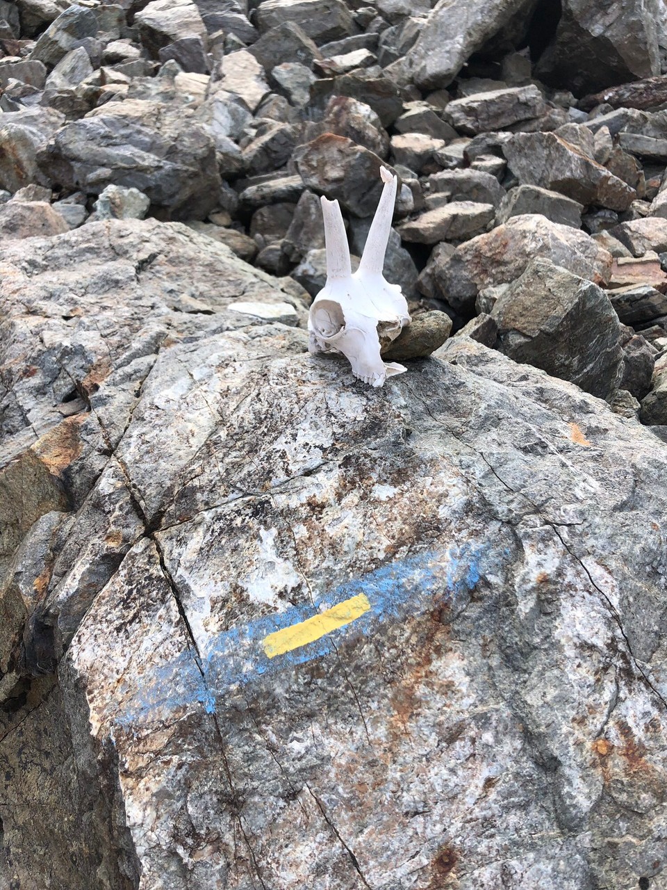 Frankreich - Allemond - 