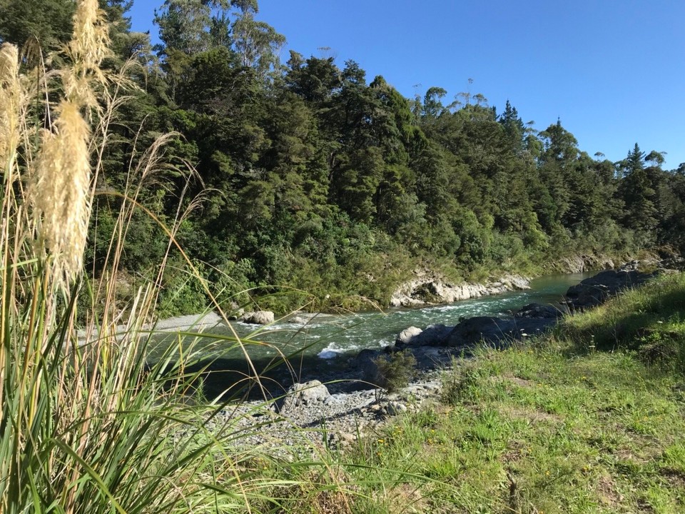 Neuseeland - Pelorus Bridge - 