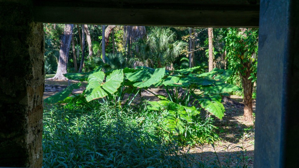USA - Daytona Beach - Der botanische Garten