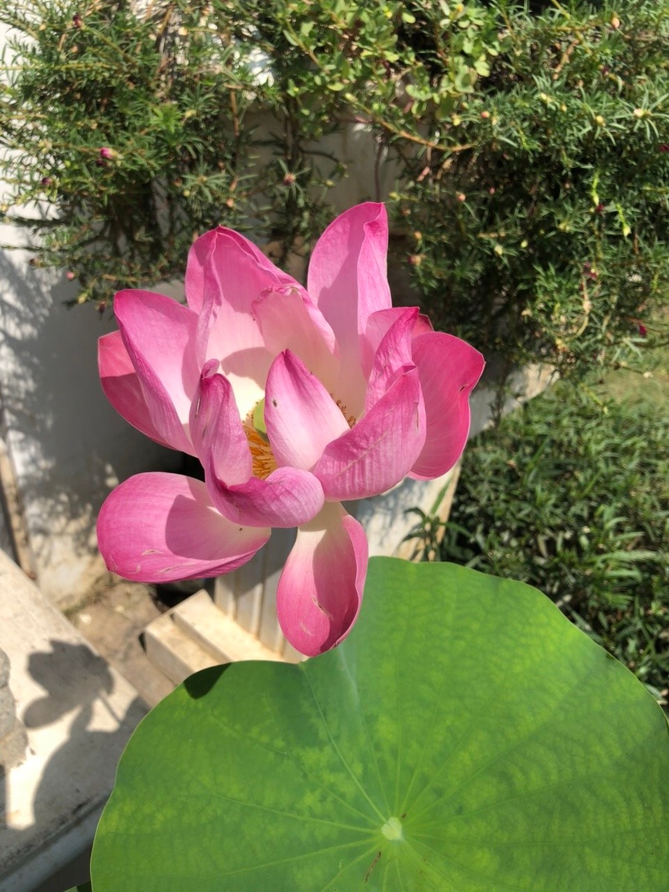 Thailand - Amphoe Mueang Phetchaburi - 