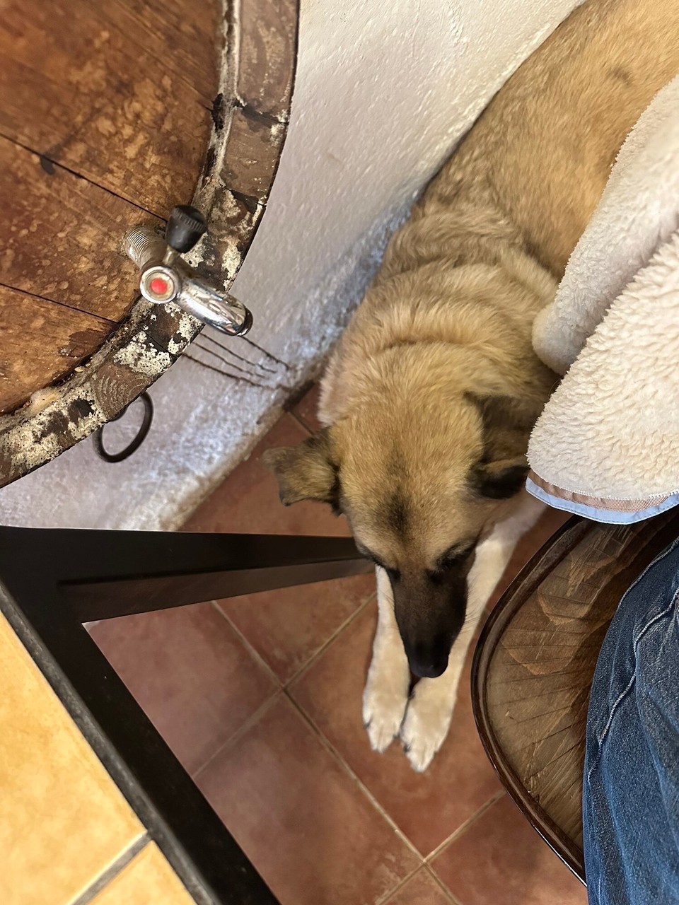 Spanien - Vilademuls - 