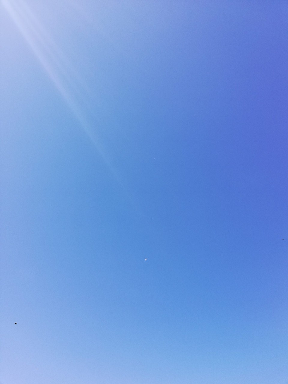 Deutschland - Fuchsmühl - Keine einzige Wolke in Sicht