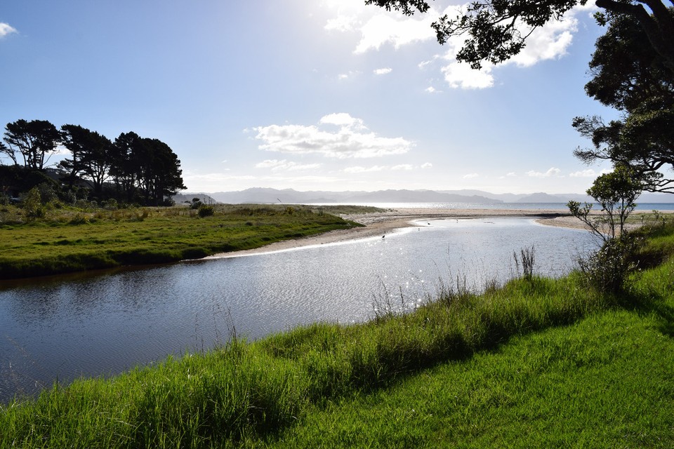 Neuseeland - Whitianga - 