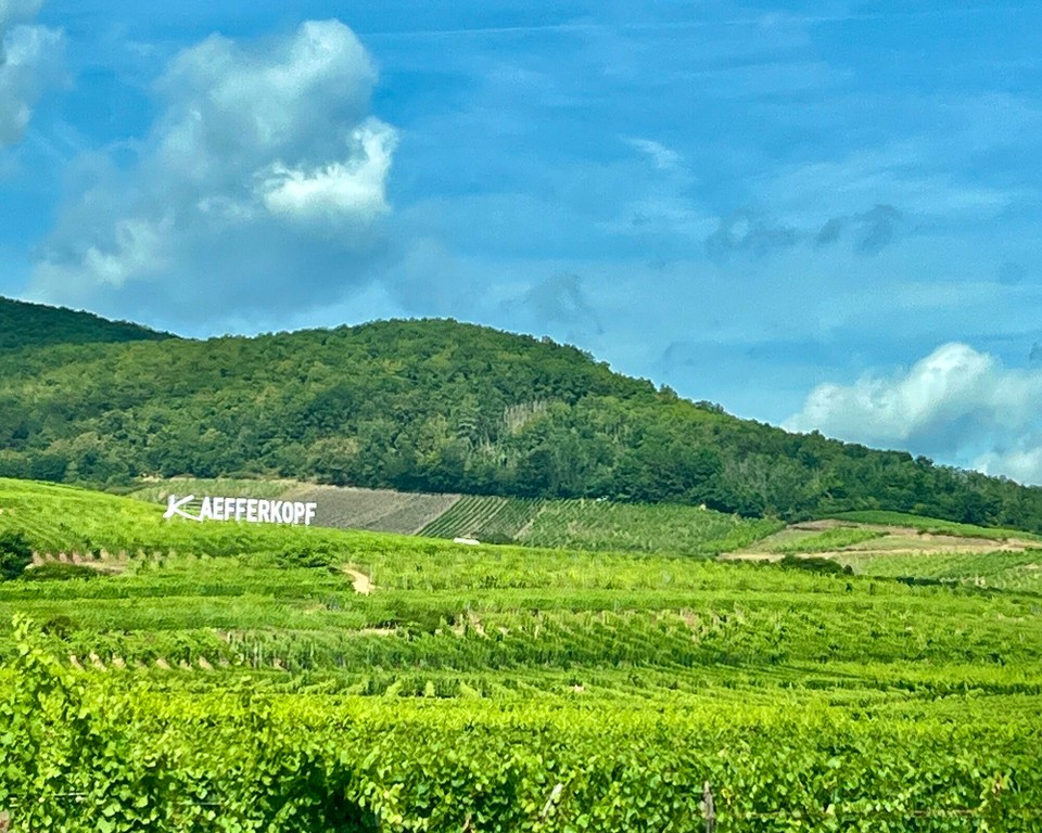 Frankreich - Kaysersberg Vignoble - 