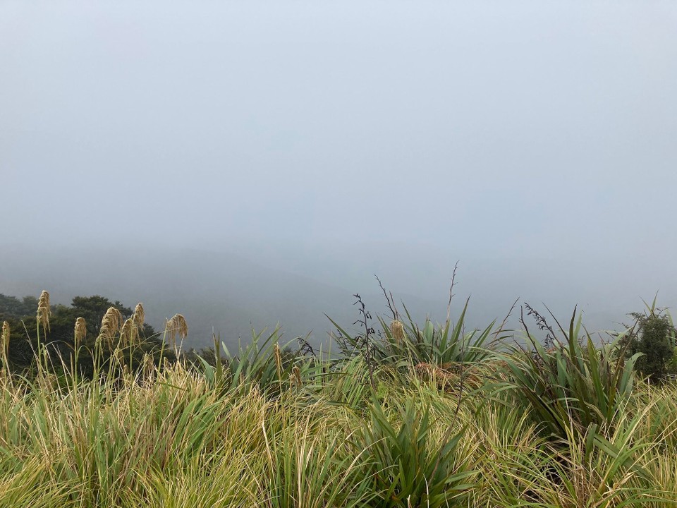 Neuseeland - Upper Hutt - 