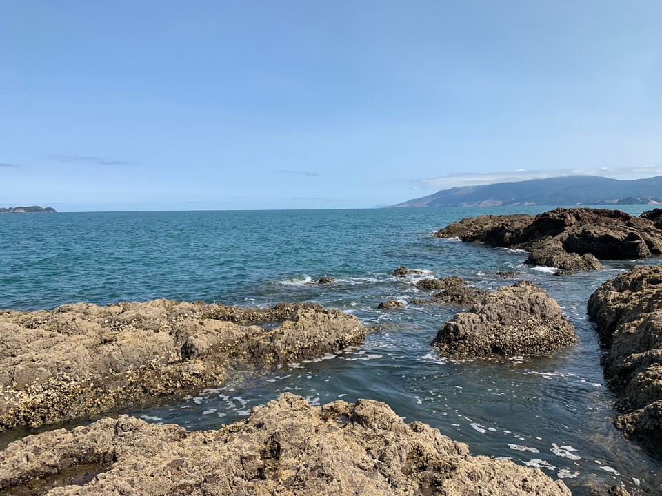 Neuseeland - Amodeo Bay - 