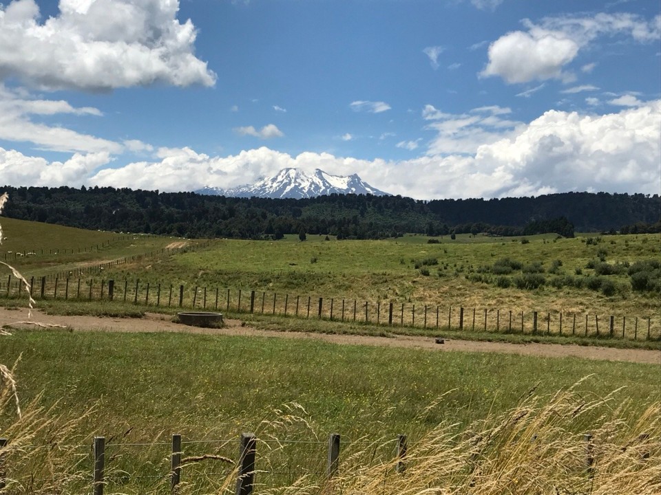 Neuseeland - Clifton - Der Mt Ruapehu in seiner vollen Schönheit 