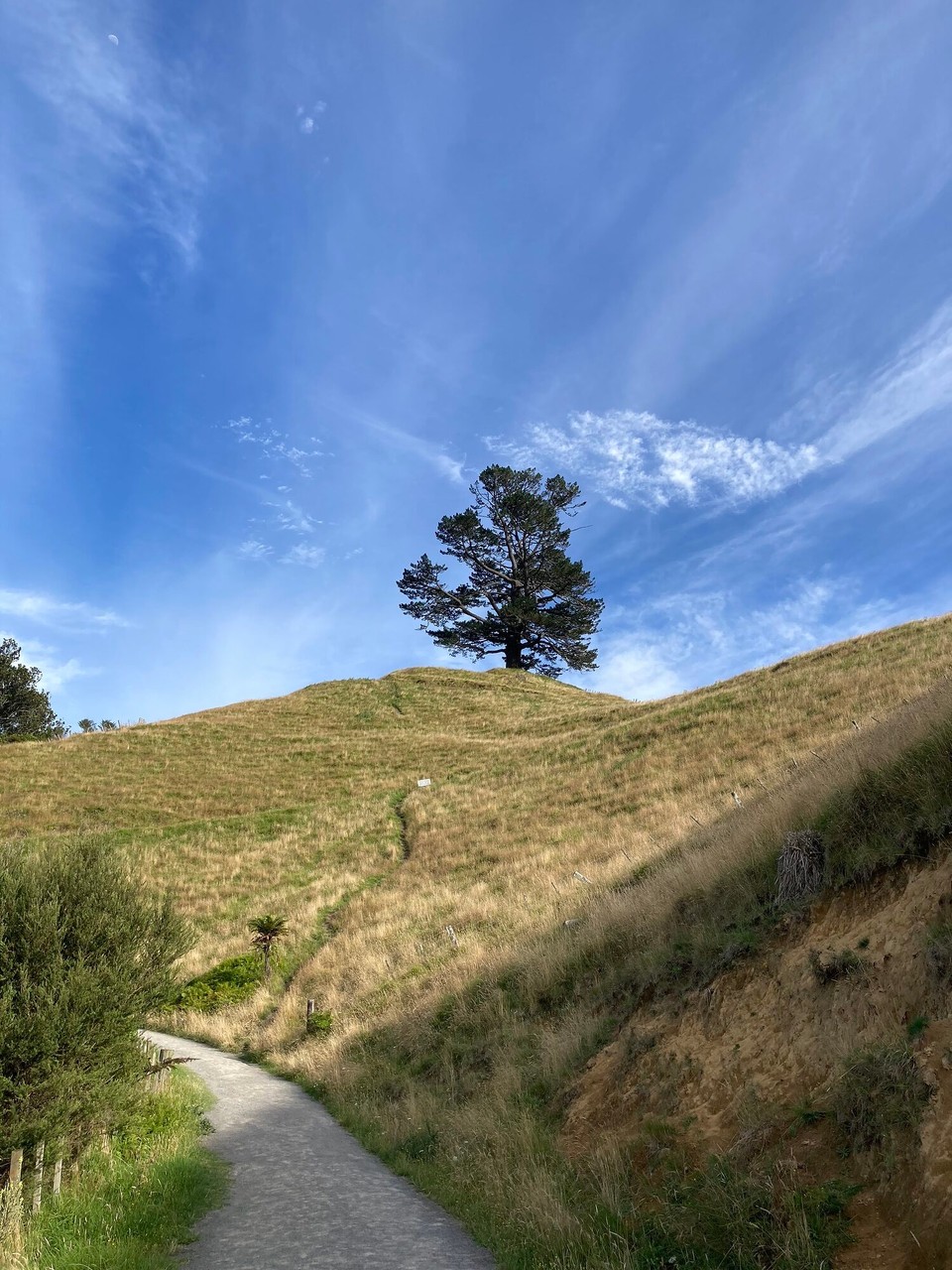 Neuseeland - Papamoa - 