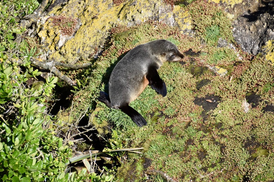 Neuseeland - Hokitika - 